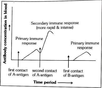 Immunity